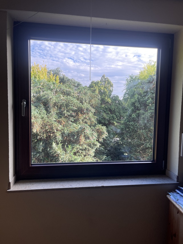 fenster-12